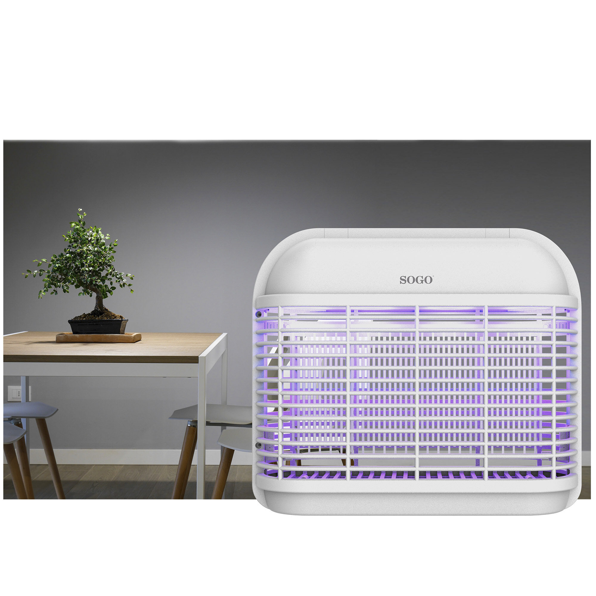 FO MIN SS 13860 02